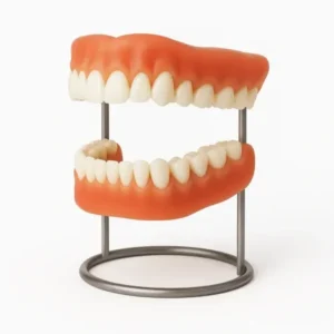 SmileFitPro® – MedicalFit Adaptive Dentures – Suitable for all mouth shapes, perfect fit