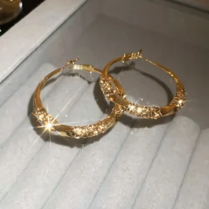 💧💧CZTICLE® Zirkonia-Kreolen (🔥Jahresendverkauf – 60 % Rabatt)